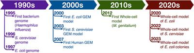 Multi-scale models of whole cells: progress and challenges